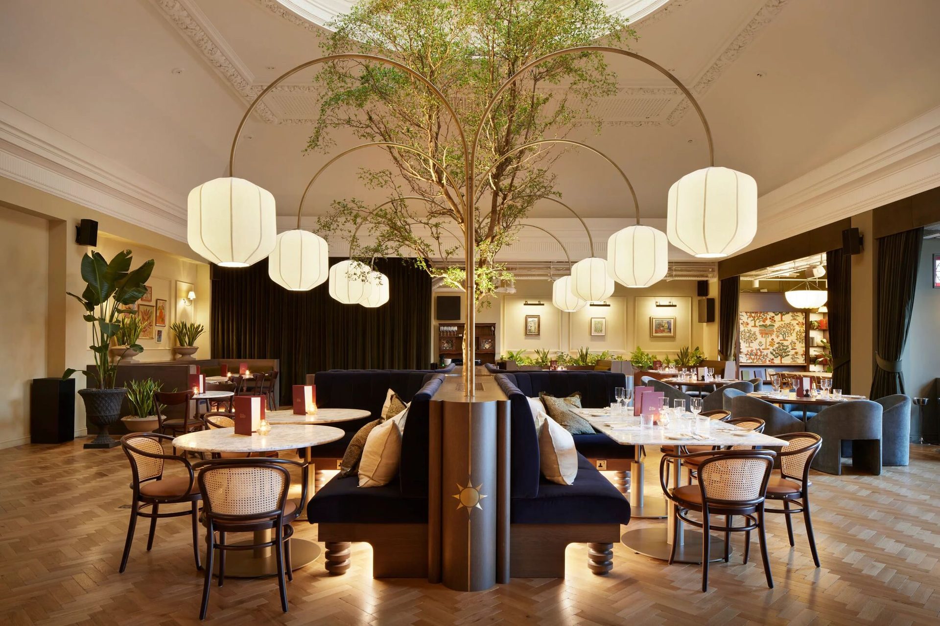 A relaxed dining and meeting space in the Clapham Junction studio, with a central tree and arched lighting